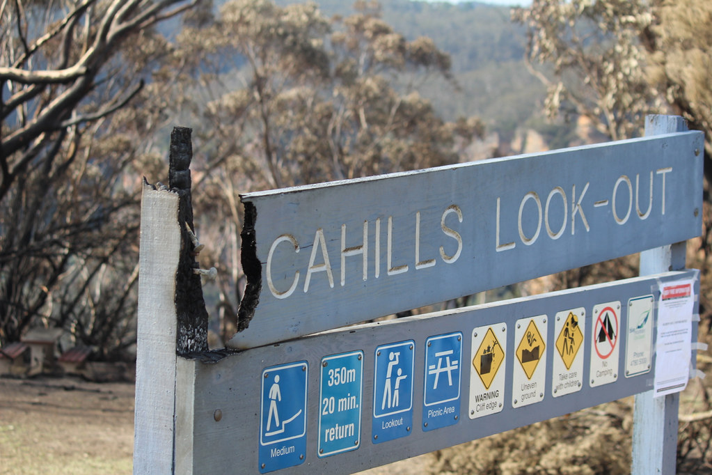 To Fire or Not to Fire: My First Bushfire